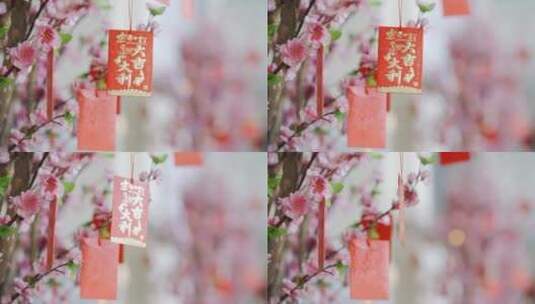 梅花树上悬挂的新年祝福高清在线视频素材下载