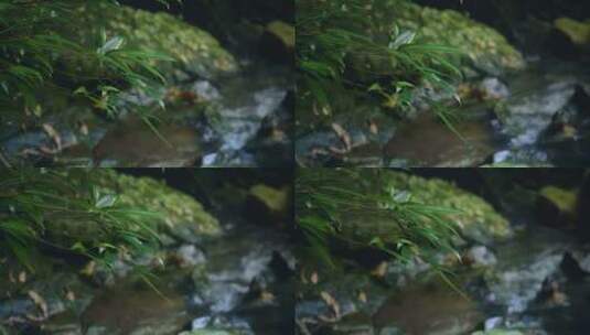 山涧瀑布绿植青苔高清在线视频素材下载