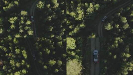 汽车在森林公路上行驶航拍高清在线视频素材下载