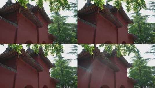 洛阳白马寺国际佛殿泰国寺庙古建筑光影高清在线视频素材下载