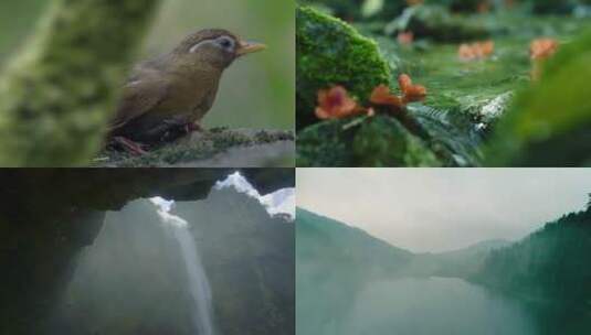 浙江风光绿色山川美景视频素材包高清在线视频素材下载