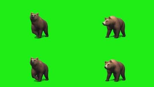 绿幕-动物-狗熊抬脚打人高清在线视频素材下载