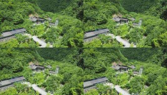 大自然绿色植物森林神农架官门山高清在线视频素材下载