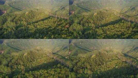 无人机航拍树林景观高清在线视频素材下载