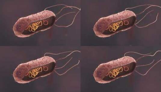 医学病原体病毒病原体病菌细菌医学三维动画高清在线视频素材下载