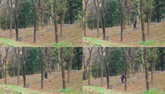 升格实拍走在秋天落满树叶树林里的东方女性高清在线视频素材下载
