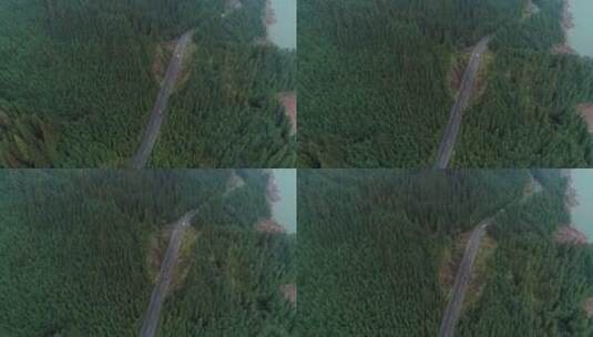 航拍自驾游汽车行驶在湖边松林公路高清在线视频素材下载