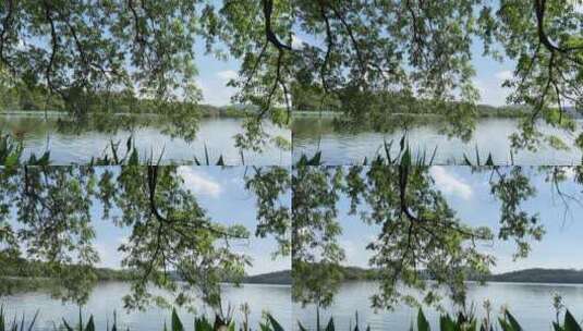 4k 杭州西湖山水画高清在线视频素材下载
