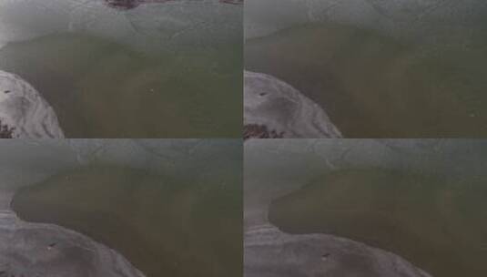 北方冬季冰雪河流湿地风光航拍高清在线视频素材下载
