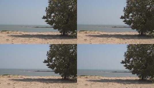大海沙滩岸边上一棵树唯美海景风景自然风光高清在线视频素材下载