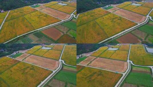 航拍风景种田村庄乡村种地高清在线视频素材下载