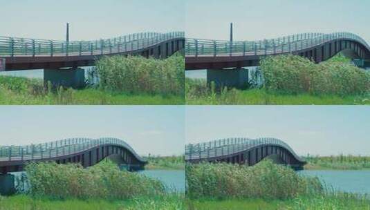 草地 湖水 桥 公园 湿地 生态高清在线视频素材下载
