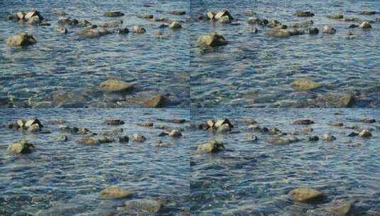 石头海岸上清澈的水高清在线视频素材下载