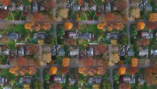 秋季穿过社区的汽车特写高清在线视频素材下载