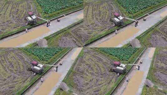机械收割机收割水稻高清在线视频素材下载