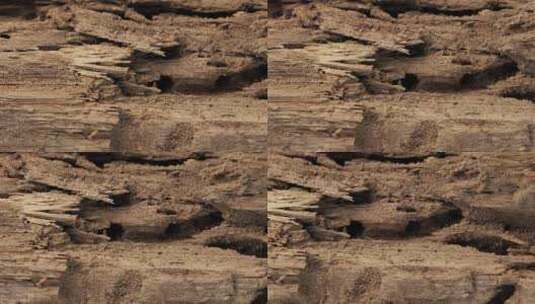 树皮龟裂 木头纹理裂纹高清在线视频素材下载