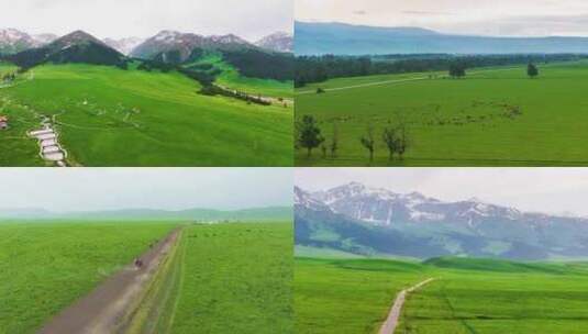 4K航拍新疆那拉提大草原风光美景高清在线视频素材下载