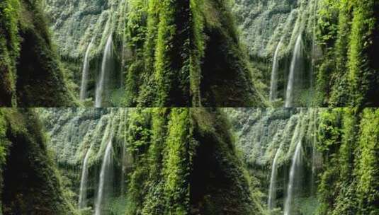 丛林密布 树木茂盛 青山秀水  瀑布高清在线视频素材下载