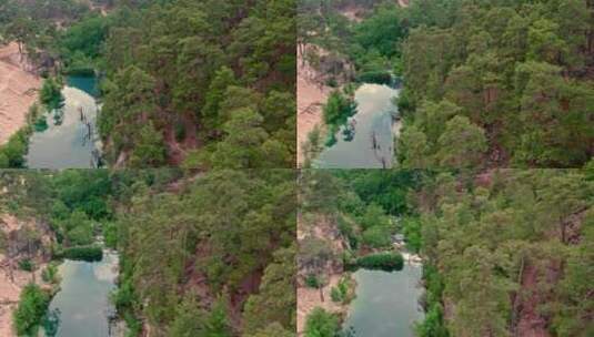 河流，森林高清在线视频素材下载
