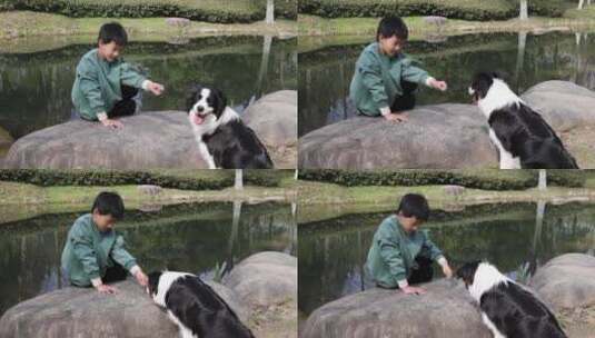 中国小男孩喂宠物边境牧羊犬吃零食高清在线视频素材下载