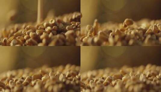 小麦粒掉落9高清在线视频素材下载