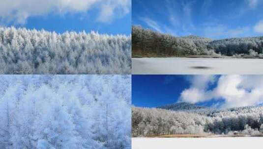 冬季雾凇雪景雪山森林雪景高清在线视频素材下载