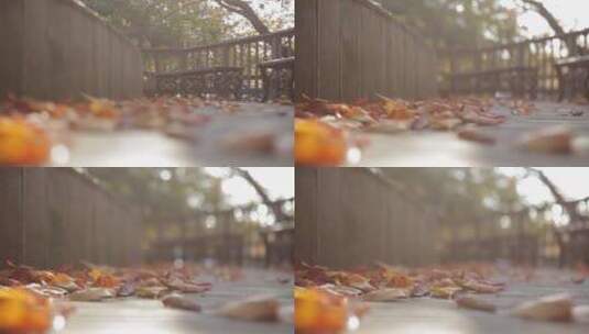 秋天公园一角、秋天落叶高清在线视频素材下载