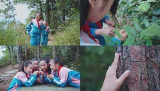 孩子在森林中感受大自然 抚摸大树高清在线视频素材下载
