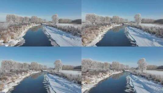 大兴安岭初冬湿地河流雪松美景高清在线视频素材下载