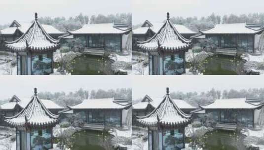 武汉东湖梅园雪景风光高清在线视频素材下载