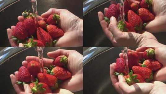 清洗草莓高清在线视频素材下载