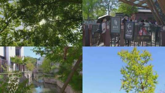 广富林 文化遗址 水上公园高清在线视频素材下载