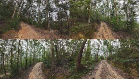 山路驾驶森林行驶山路树林土路第一视角前行高清在线视频素材下载