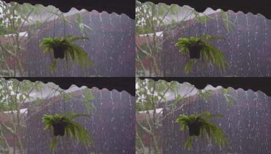 暴雨悬挂的盆栽禅意空镜头高清在线视频素材下载