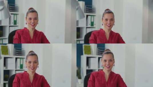 与销售管理一起工作的公司员工肖像高清在线视频素材下载