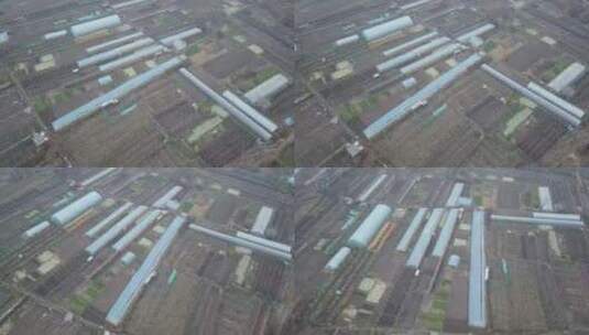 汇报篇蔬菜大棚高清在线视频素材下载