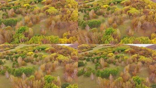 快进X10 航拍大兴安岭金色秋天高清在线视频素材下载
