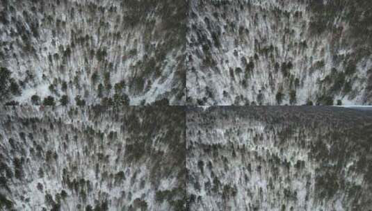 吉林长白山雪岭森林冬季自然风光航拍高清在线视频素材下载