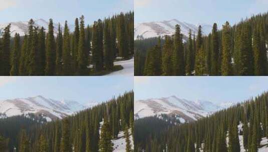 航拍森林丛林雪山风景高清在线视频素材下载