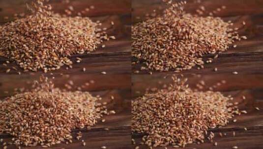 小麦下落慢镜头  小米下落 小麦拍摄高清在线视频素材下载