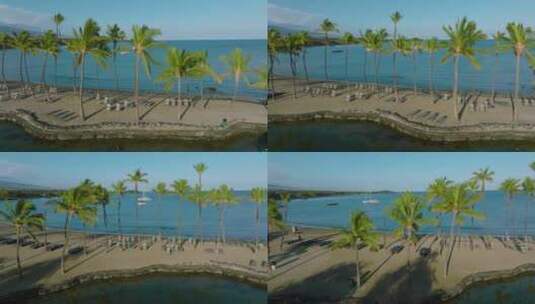 棕榈树海滩度假村高清在线视频素材下载
