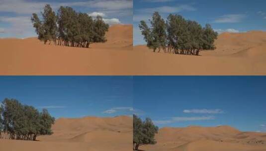 erg chebbi沙丘沙撒哈拉沙漠摩洛哥merzouga高清在线视频素材下载