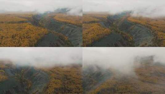 阿尔山森林公园 大峡谷 云雾 雨 岩石 地貌高清在线视频素材下载