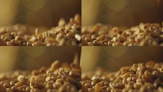 小麦粒掉落10高清在线视频素材下载