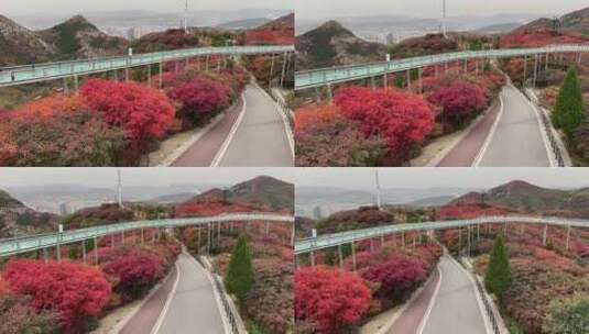 山东淄博博山柿岩古村，秋季满山红叶景观高清在线视频素材下载
