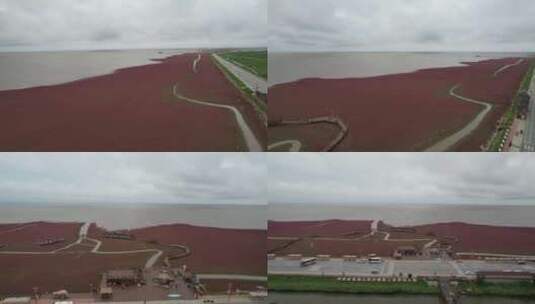 盘锦红海滩未调色 原素材高清在线视频素材下载