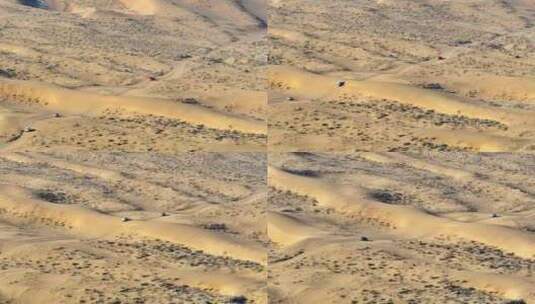 越野车穿越沙漠高清在线视频素材下载