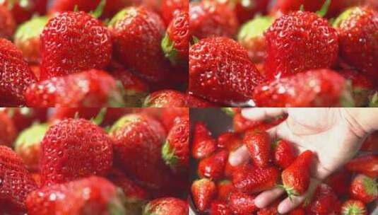 水洗新鲜草莓特写高清在线视频素材下载