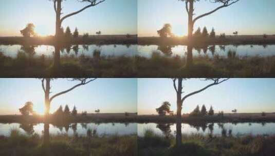 湖边日落景观高清在线视频素材下载