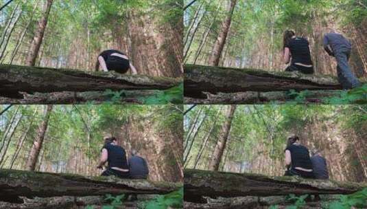 母女坐在森林的一根木头上高清在线视频素材下载